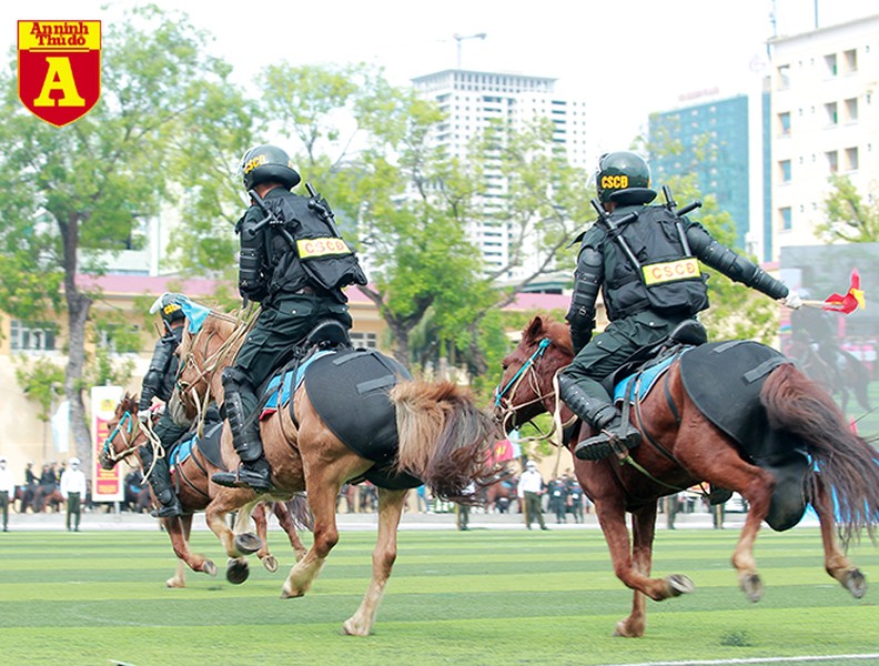 Mãn nhãn với màn trình diễn của Cảnh sát cơ động Kỵ binh